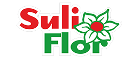 rasaduri flori,rasad flori,butas flori,ghivece,turba,ingrășăminte,răsaduri