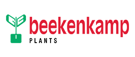 BEEKENKAMP