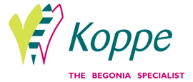 koppe