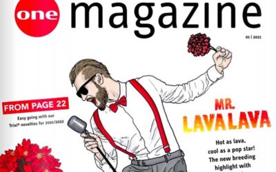 Selecta One magazin