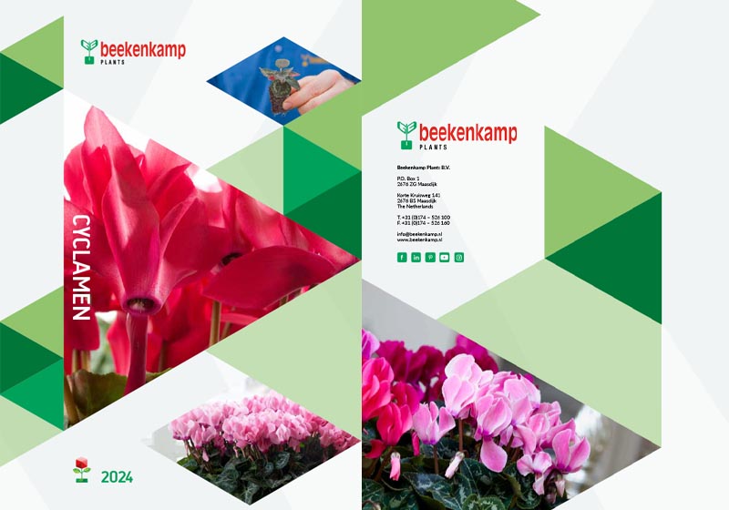 catalog cyclamen 2024