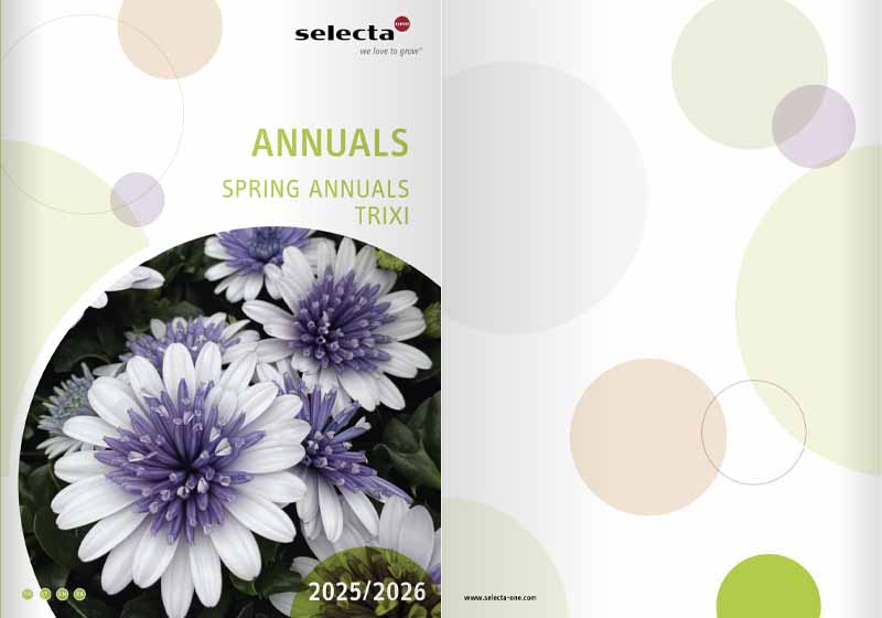 catalog trixi anuale 2025 2026